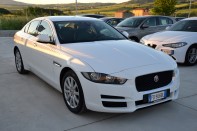 JAGUAR 